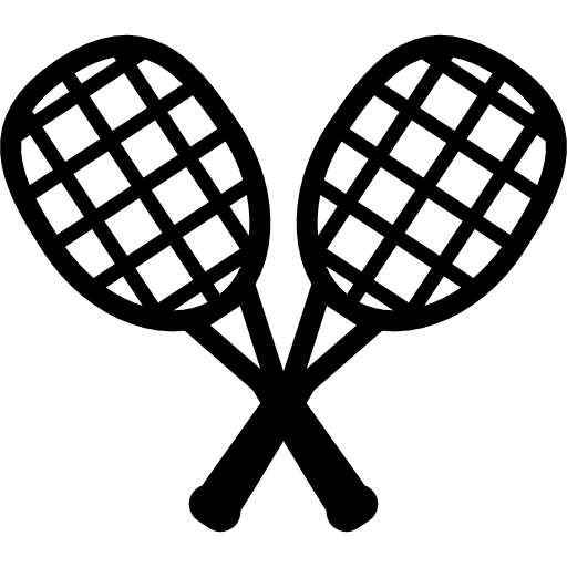 Multipurpose Court Icon